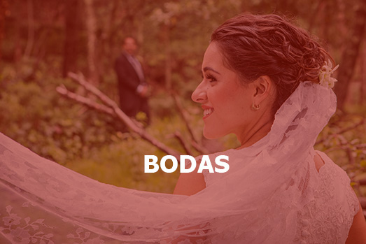 Bodas_New_E